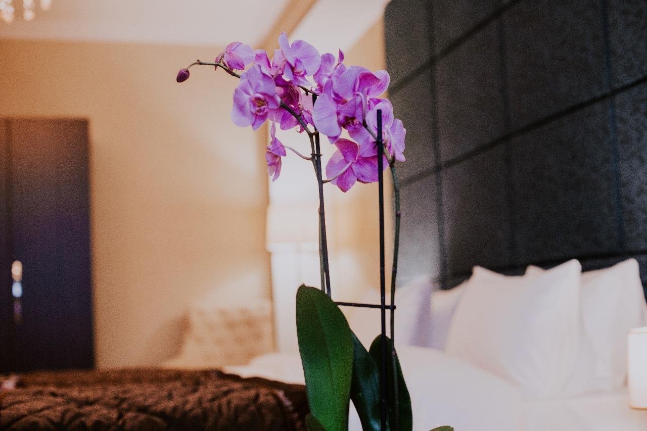 Viva Boutique Hotel Baku Ngoại thất bức ảnh